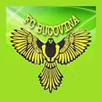 F.C. Bucovina